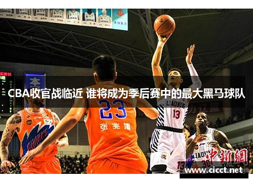 CBA收官战临近 谁将成为季后赛中的最大黑马球队