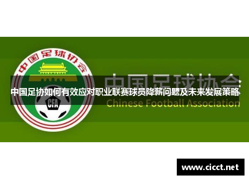 中国足协如何有效应对职业联赛球员降薪问题及未来发展策略