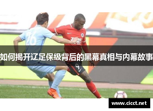 如何揭开辽足保级背后的黑幕真相与内幕故事