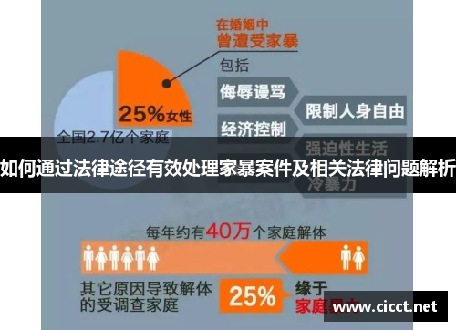 如何通过法律途径有效处理家暴案件及相关法律问题解析