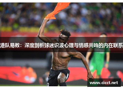 港队易教：深度剖析球迷识波心理与情感共鸣的内在联系