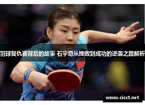 羽球复仇赛背后的故事 石宇奇从挫败到成功的逆袭之路解析