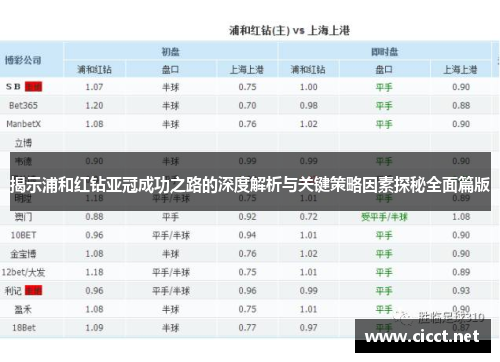 揭示浦和红钻亚冠成功之路的深度解析与关键策略因素探秘全面篇版