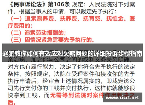 赵鹏教你如何有效应对欠薪问题的详细投诉步骤指南