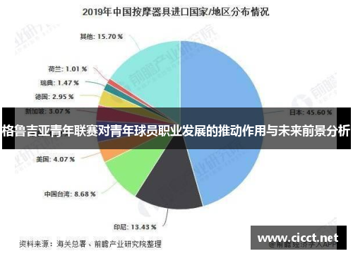 格鲁吉亚青年联赛对青年球员职业发展的推动作用与未来前景分析